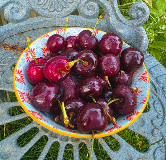 A Letter To High Summer