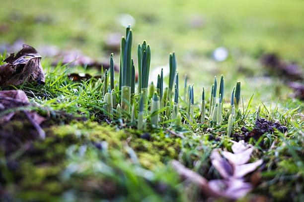 A Letter For The Turning Season