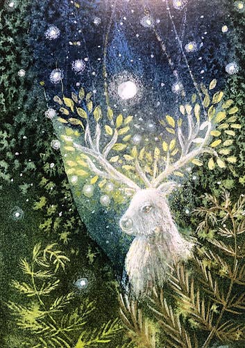 The Magic in the Woods Greetings Card