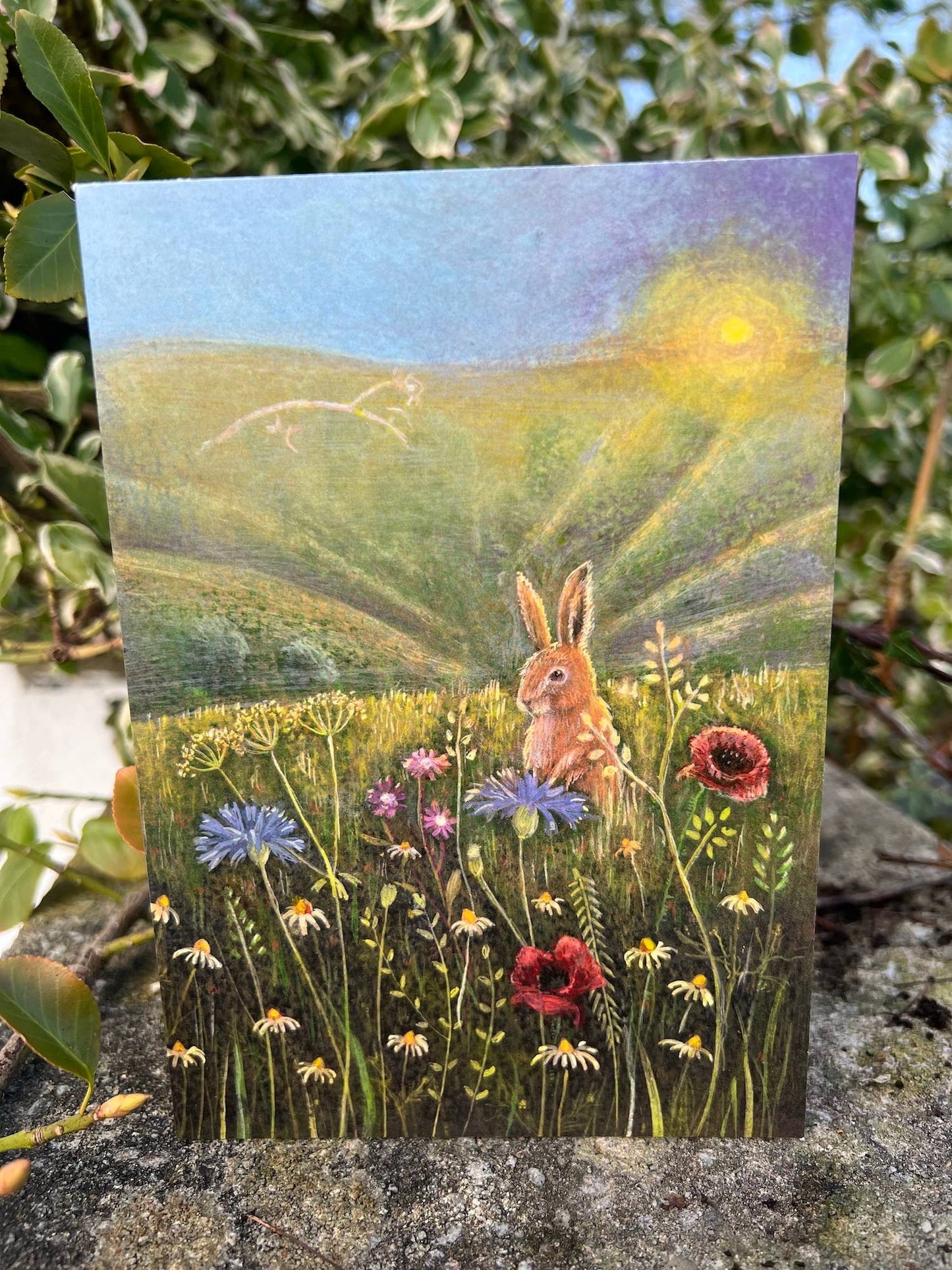 In the Meadow Greetings Card