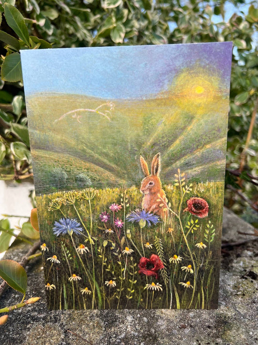 In the Meadow Greetings Card
